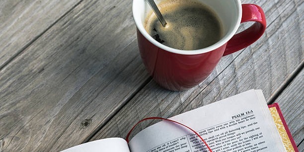 Small Groups*
Come and join us during the week as we meet together in groups for fun and fellowship*
Read more